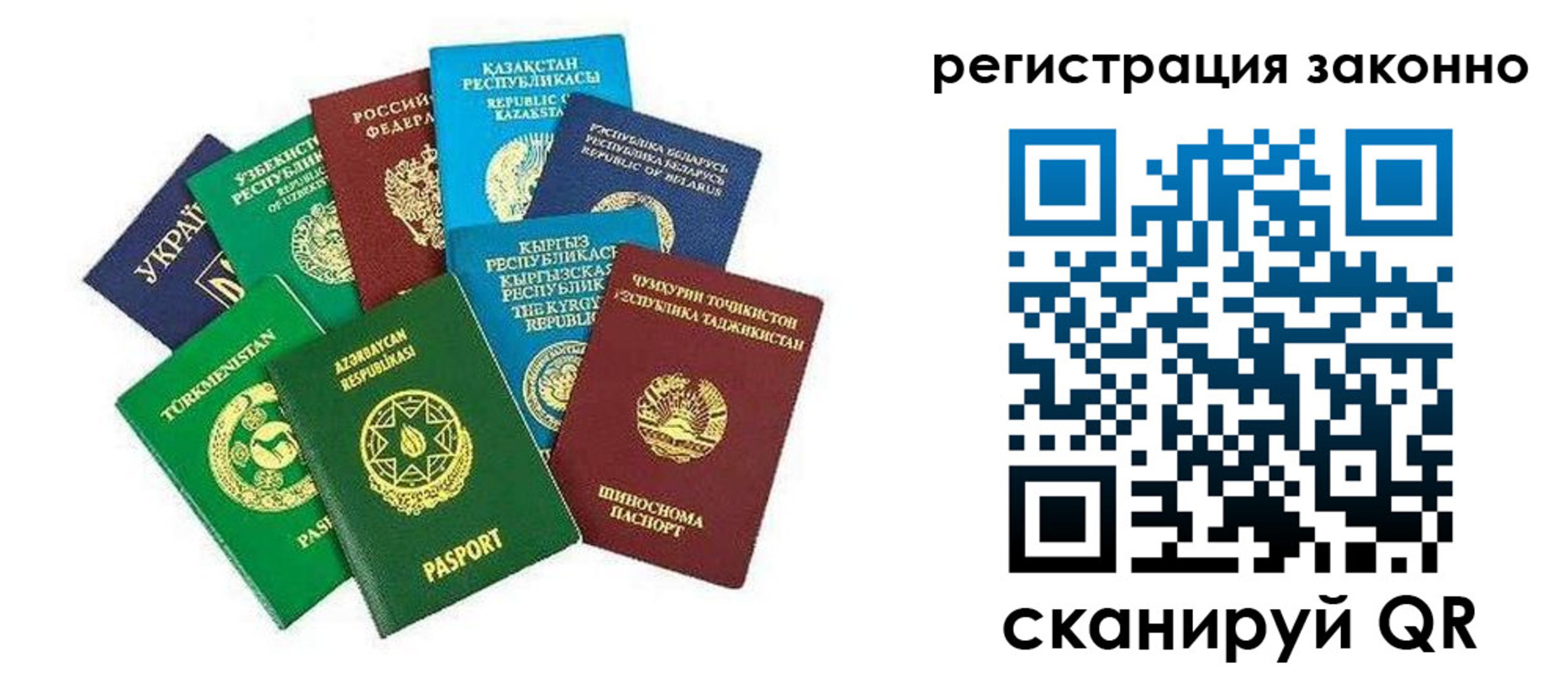 прописка 2025 в Волосово